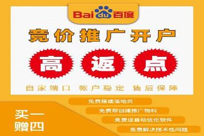 搜索引擎竞价推广实战：行业领先企业的成功秘诀
